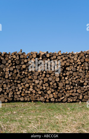 Pile of wood Stock Photo