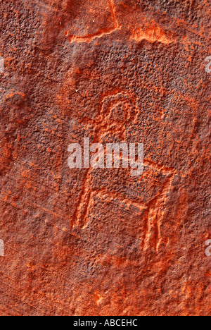 petroglyph goat Indian amerindian historic rock art drawing Glen Canyon Arizona Colorado River Stock Photo