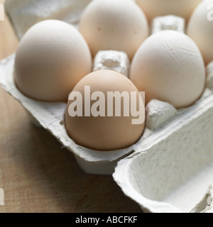 Eggs shot with Hasselblad medium format digital Stock Photo