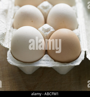 Eggs shot with Hasselblad medium format digital Stock Photo
