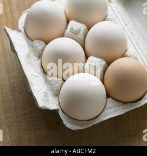 Eggs shot with Hasselblad medium format digital Stock Photo