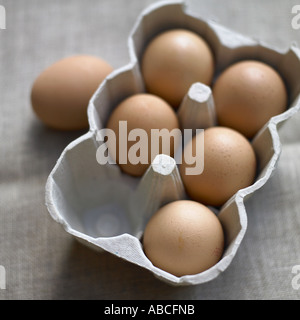 Eggs shot with Hasselblad medium format digital Stock Photo