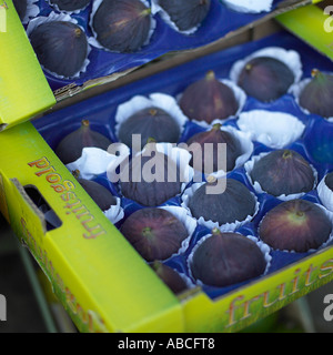Crate of figs Stock Photo