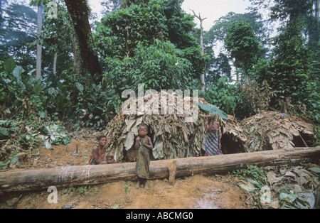 A pygmy camp in the rainforest with typical leaf shelters, Republic of Congo Stock Photo