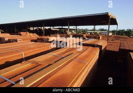 Processed rainforest timber at Tropical Africa's first FSC certified forest concession, the Republic of Congo Stock Photo