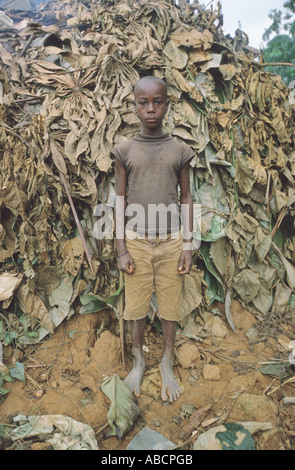 A Baka pygmy child by a temporary leaf houses in the rainforest of Rupublic of Congo close to the Cameroon border Stock Photo