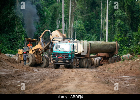 Logging truck with protective cage, the Republic of Congo Stock Photo ...