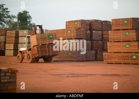 Processed rainforest timber at Tropical Africa's first FSC certified forest concession, the Republic of Congo Stock Photo