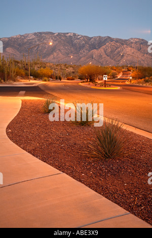 Looking towards the Santa Catalina Mountains of the Coronado National Forest Oro Valley Tucson Arizona Stock Photo