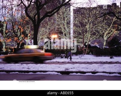 Central park at christmas Stock Photo