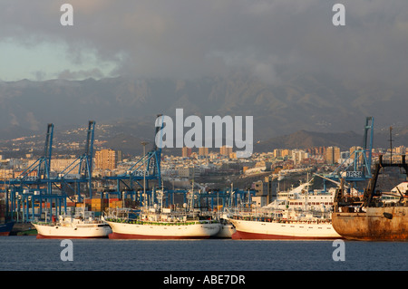 Japanese fishing boats, Las Palmas , Gran Canaria, islas Canarias, Canary islands, Spain, España, Europe, Europa Stock Photo