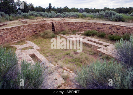 Ruins of the great kiva at the Lowry Pueblo in the Canyons of the Ancients National Monument in Colorado Stock Photo