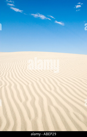 Monahans Sandhills State Park in West Texas Stock Photo