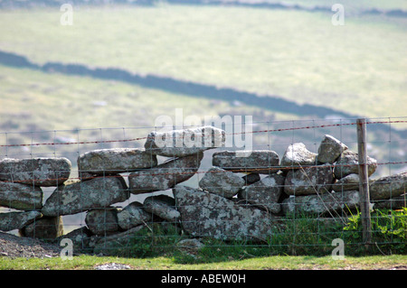 Dartmoor Stone Walls, Dry Stone Wall Stock Photo