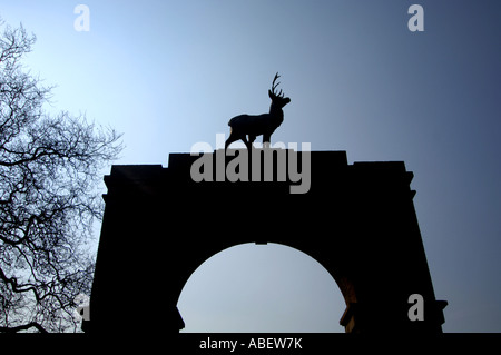 Five legged statue of a stag on an arched gateway at the Drax estate in Dorset, Britain, UK Stock Photo
