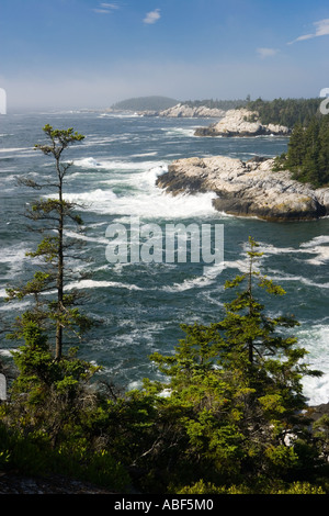 The Isle Au Haut coastline as seen from the Goat Trail above Squeaker Cove Acadia National Park Maine Stock Photo