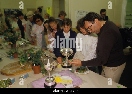 Village Show 1990s prize winning gooseberries are displayed and the Silver Cups Egton Bridge Old Gooseberry show North Yorkshire HOMER SYKES Stock Photo