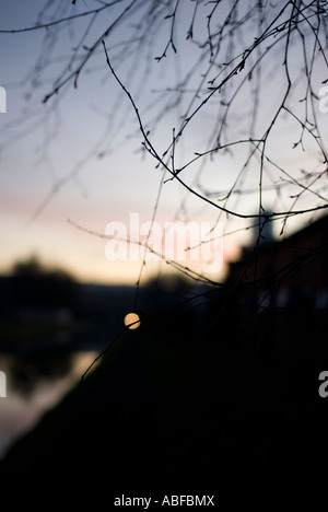 views on canals in the westmidlands near dudley port canals were the transport backbone of the uk before the railway they have n Stock Photo