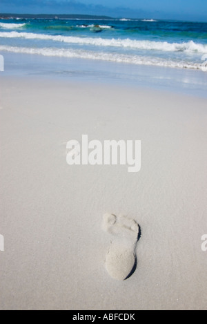 Footprints on isolated beach Stock Photo