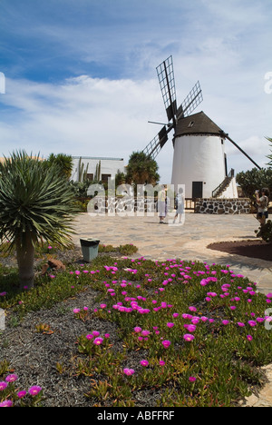 dh Centro de Artesania Molino ANTIGUA FUERTEVENTURA Tourist couple and Traditional Fuerteventuran rural windmill village museum Stock Photo