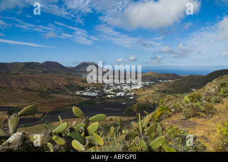 dh MIRADOR DE HARIA LANZAROTE Farmer in hillside field raking ground ...