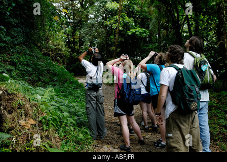 Young ecotourists on a student trip with a Costa Rican naturalist guide observing wildlife in the Monteverde Cloud Forest Stock Photo