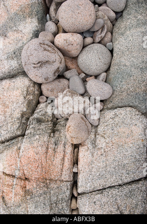 Boulders near Otter Cliffs Acadia Maine Stock Photo