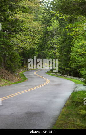 Country road in Maine Stock Photo