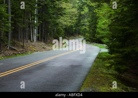 Country road in Maine Stock Photo