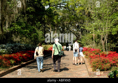 Florida Maclay Gardens in spring Stock Photo