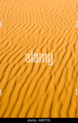 Ripples in Sahara sand dune Erg Chebbi Morocco Stock Photo