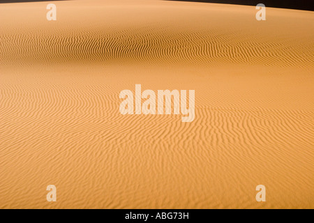 Perfect large rippled sand dune Erg Chebbi sunrise Morocco Stock Photo