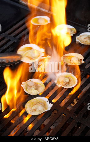 Scallops on Barbeque Stock Photo