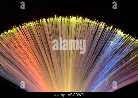 Optical fibres emitting light. These fibres are used for transmitting sound and images in the form of light Stock Photo