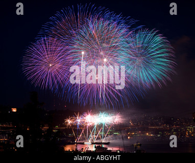 Fireworks, 4th of July 2007, Seattle, Washington State, USA Stock Photo