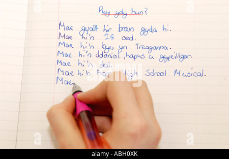 Welsh language pupil writing in exercise book in Cardiff primary school ...