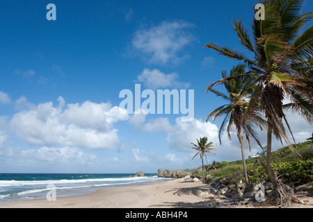 East Coast Beach near Barclays Park, Barbados, Lesser Antilles, West Indies, Caribbean Stock Photo