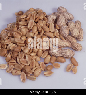 Peanuts salted and peanuts in shells on a white background Stock Photo