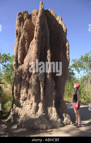 Termite mound in Litchfield National Park Darwin Northern Territory Australia Stock Photo