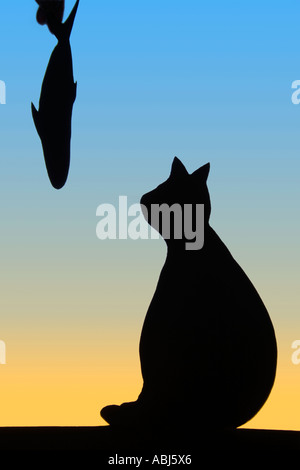 Cat and Fish silhouette. Stock Photo