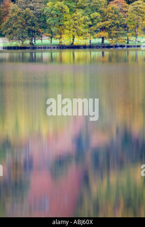 Amazingly colourful autumn trees are perfectly reflected in the placid calm lake buttermere in late evening sunlight Stock Photo