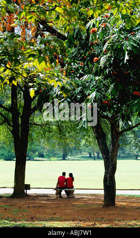 Lovers on a bench Stock Photo