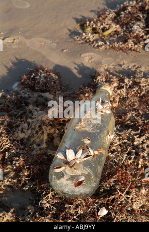 Bottle on a beach in Bolivar Peninsula, south of Texas Stock Photo
