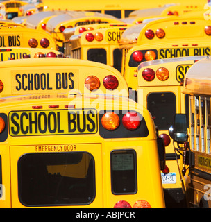 School buses parked in lines Stock Photo