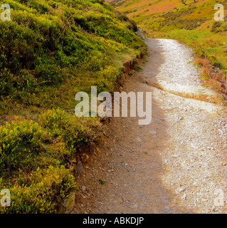 Footpath through the carding mill valley shropshire england uk Stock Photo