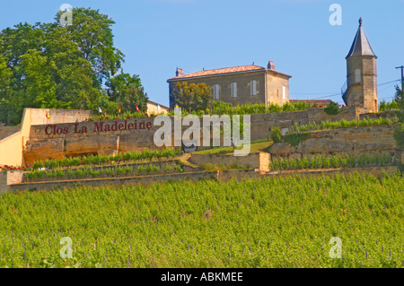 The Clos de la Madeleine and vineyard below Chateau Magdelaine Saint Emilion Bordeaux Gironde Aquitaine France Stock Photo