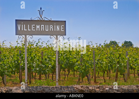 A white sign in the vineyard saying Chateau Villemaurine Saint Emilion Bordeaux Gironde Aquitaine France Stock Photo