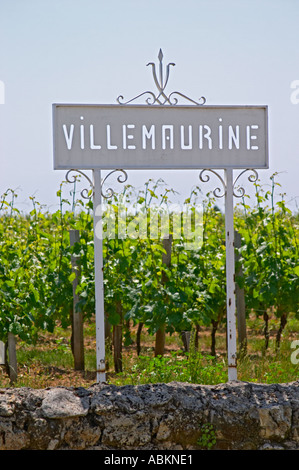 A white sign in the vineyard saying Chateau Villemaurine Saint Emilion Bordeaux Gironde Aquitaine France Stock Photo