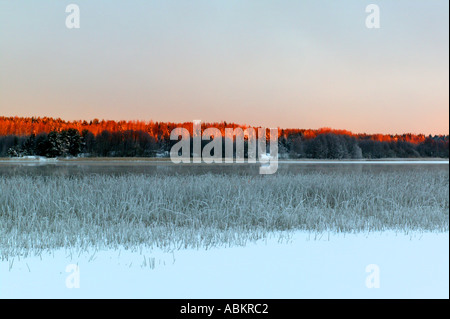 First light on the forests at Vanem, seen from the island Dillingøy in the lake Vansjø in Østfold, Norway. Stock Photo