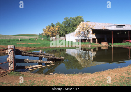 Rural landscape with reflections in an Australian farm dam creating a scene of rural tranquillity Stock Photo